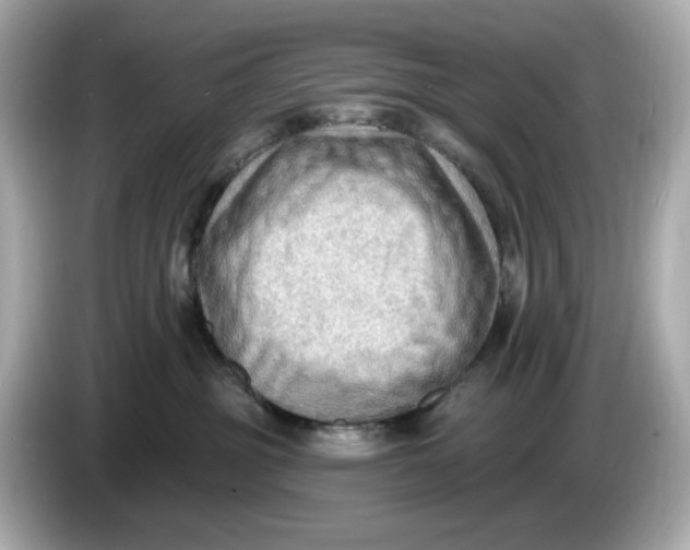 X0000086000381200704091042