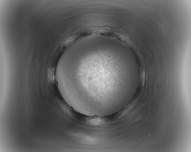 X0000086000383200704091042