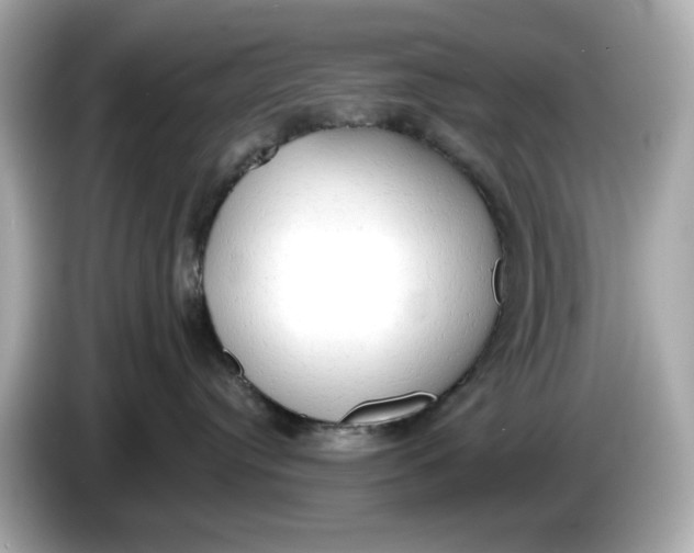 X0000086000384200704091042