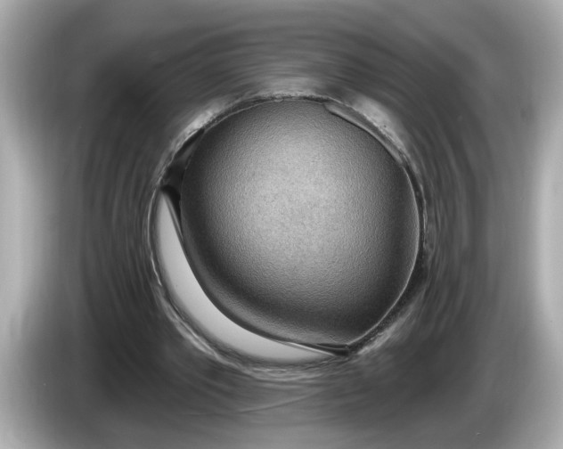 X0000086000389200704091041