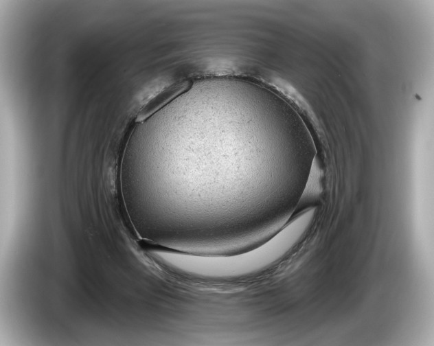 X0000086000393200704091041