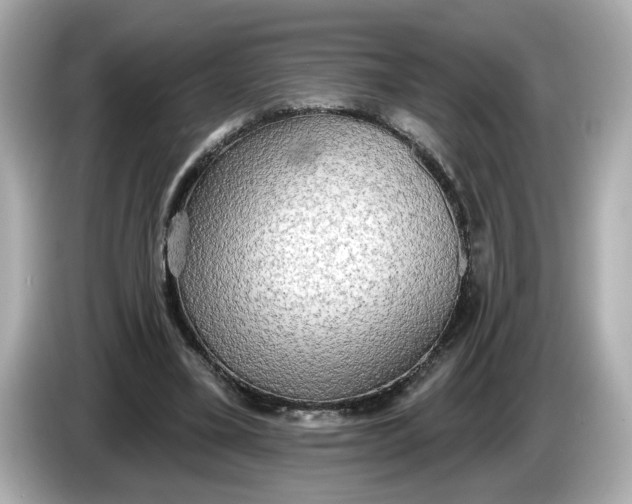 X0000086000395200704091041