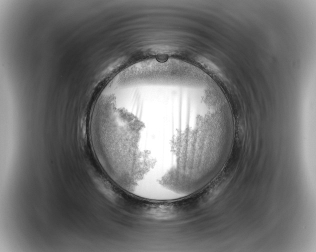 X0000086000398200704091041