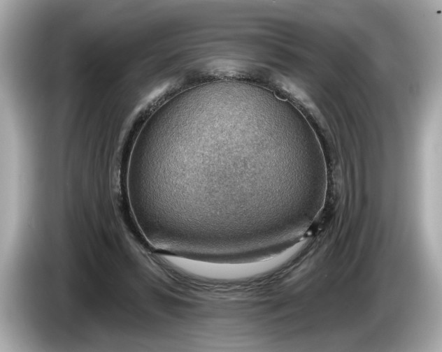 X0000086000399200704091041