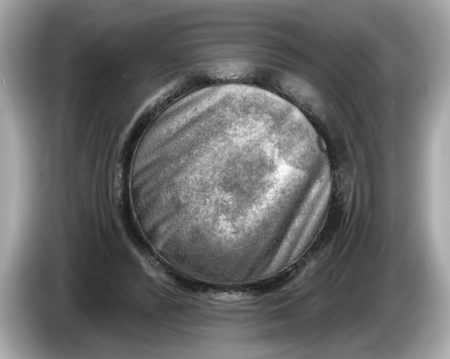 X0000086000400200704091041