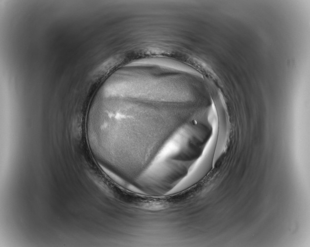 X0000086000402200704091041