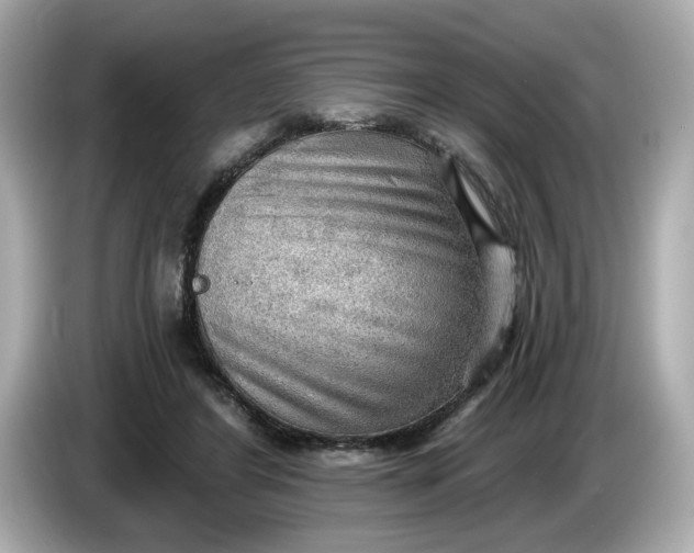 X0000086000404200704091041