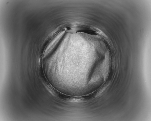 X0000086000405200704091041