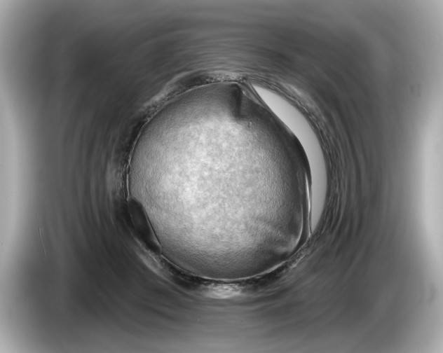 X0000086000409200704091041