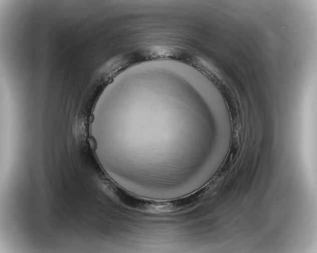 X0000086000410200704091041