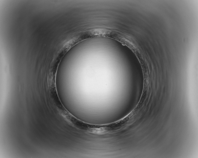 X0000086000411200704091041