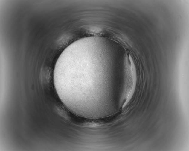 X0000086000412200704091041