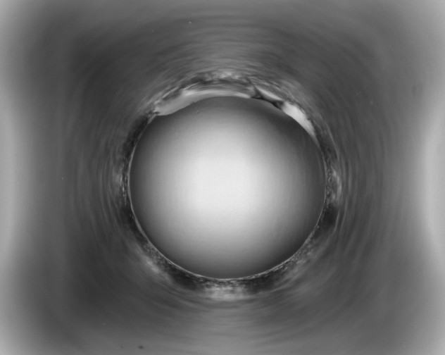 X0000086000415200704091041