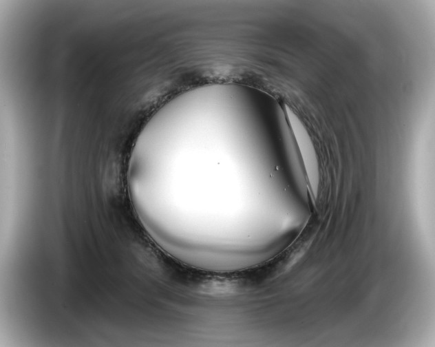 X0000086000416200704091041