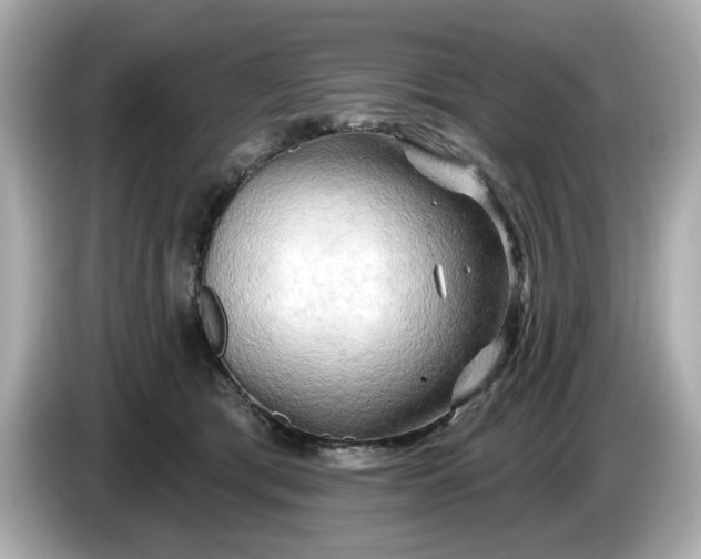 X0000086000417200704091041