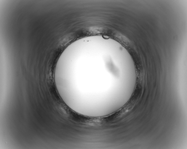 X0000086000418200704091041