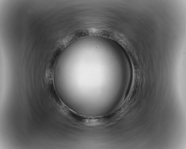 X0000086000419200704091041