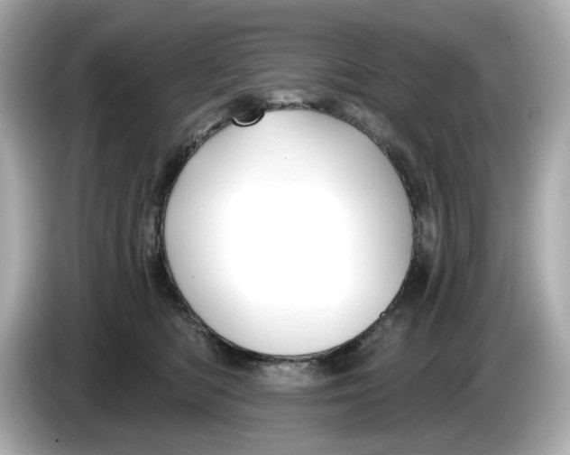 X0000086000422200704091041