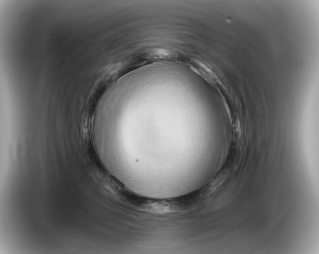 X0000086000423200704091041