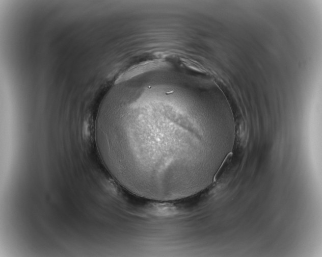 X0000086000424200704091041