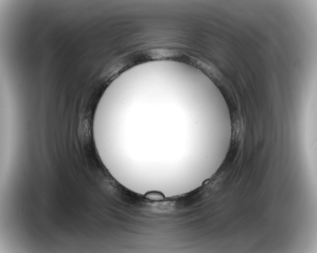 X0000086000426200704091041