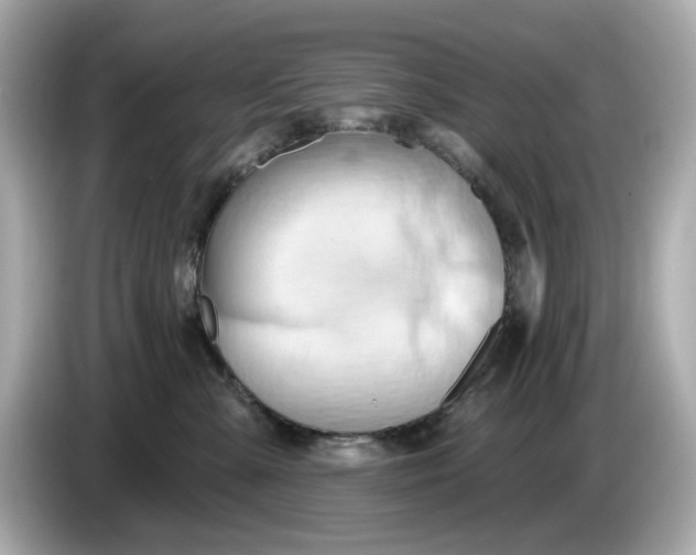 X0000086000427200704091041