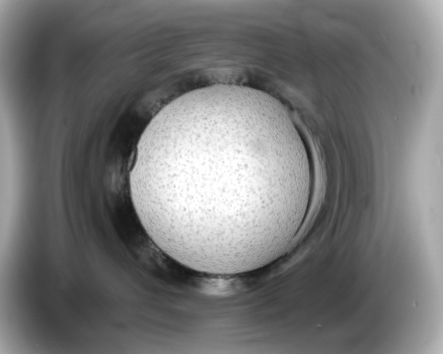 X0000086000432200704091041