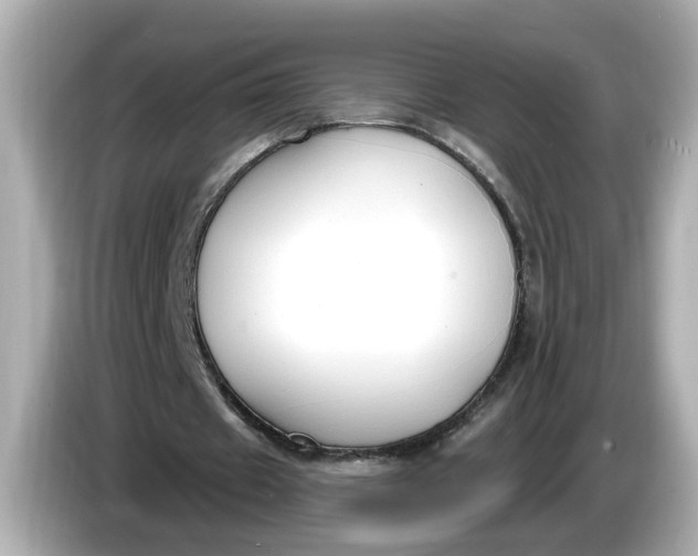 X0000086000433200704091040