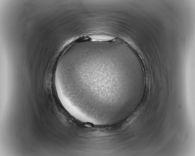 X0000086000434200704091040