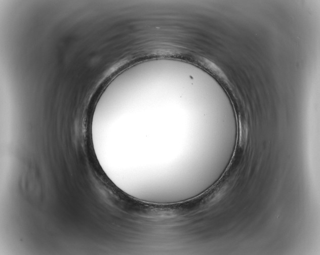 X0000086000435200704091040