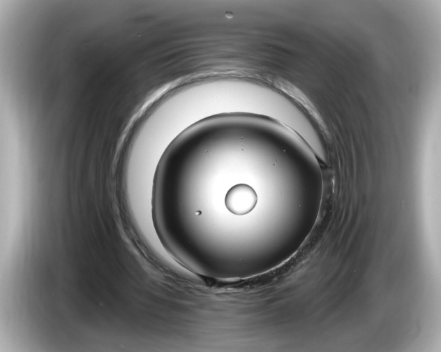 X0000086000436200704091040