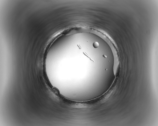 X0000086000437200704091040