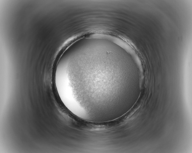 X0000086000438200704091040