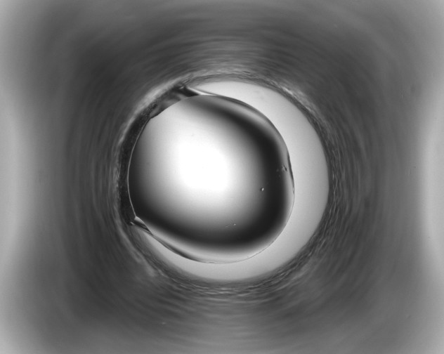 X0000086000440200704091040