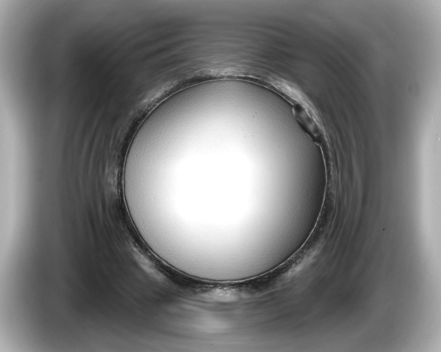 X0000086000441200704091040