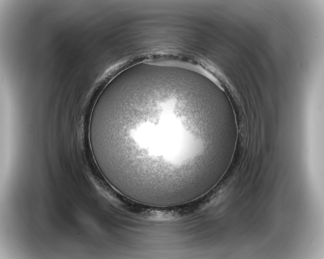 X0000086000442200704091040