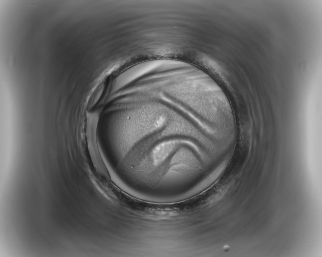 X0000086000443200704091040