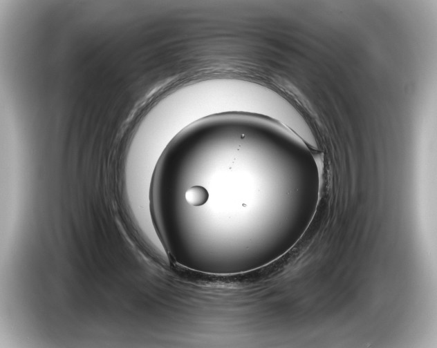 X0000086000444200704091040