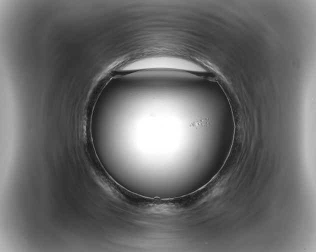 X0000086000446200704091040