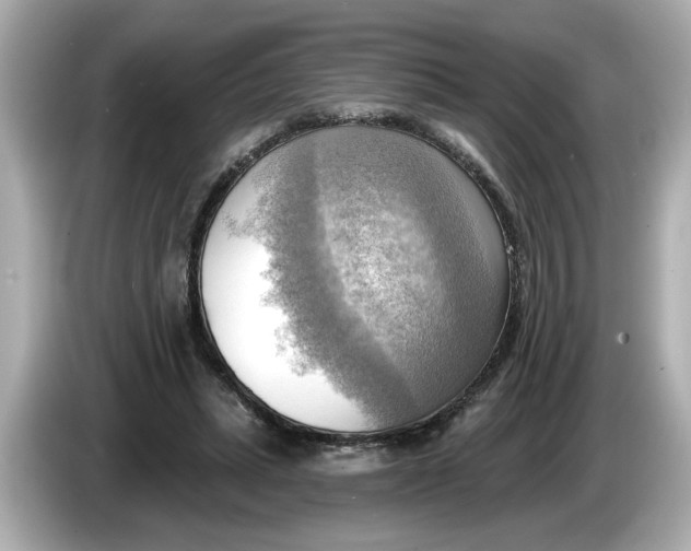 X0000086000447200704091040