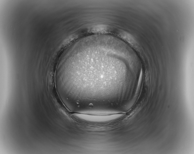 X0000086000449200704091040