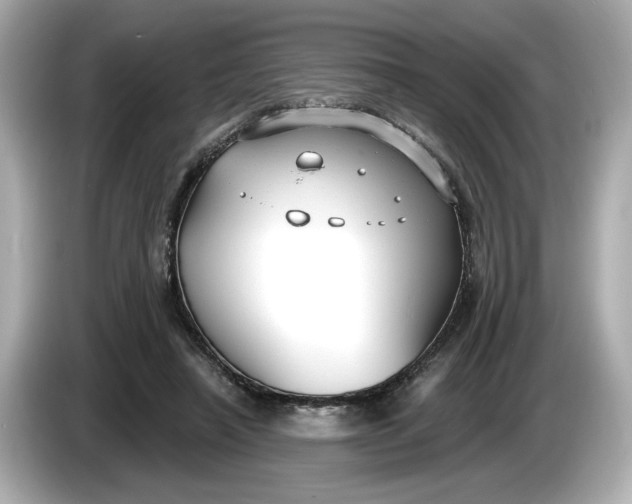 X0000086000450200704091040