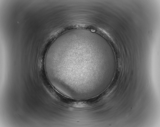 X0000086000451200704091040