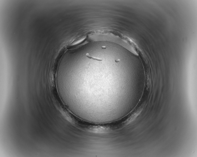 X0000086000453200704091040