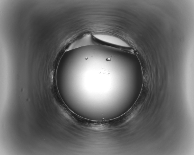 X0000086000454200704091040