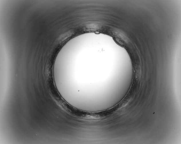 X0000086000455200704091040