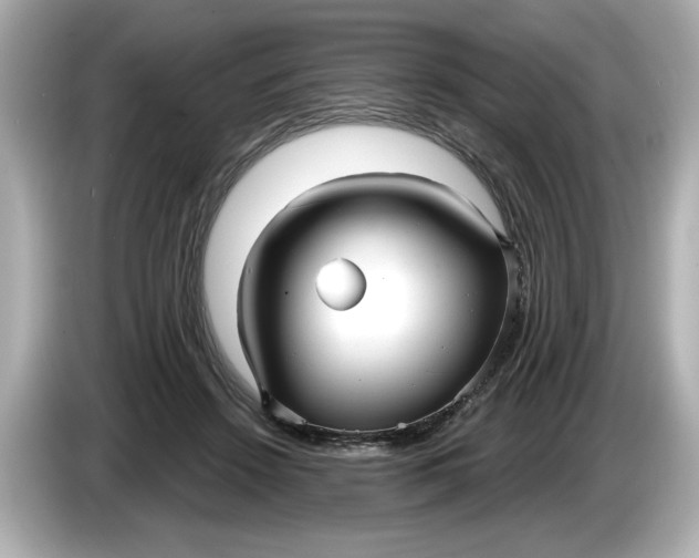 X0000086000456200704091040