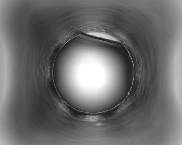 X0000086000457200704091040