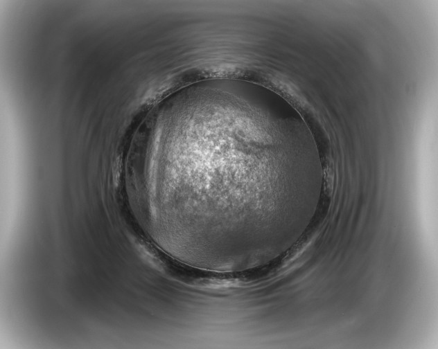 X0000086000458200704091040