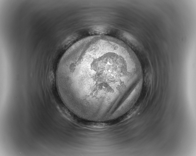 X0000086000459200704091040